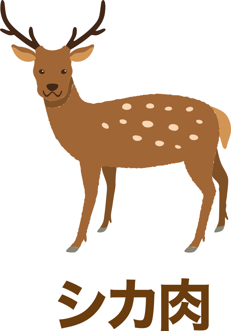 シカ肉